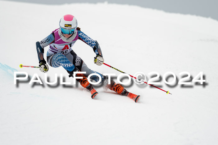1. SVM Cup Willi-Wein-Gedächtnisrennen, RS, 05.01.2023