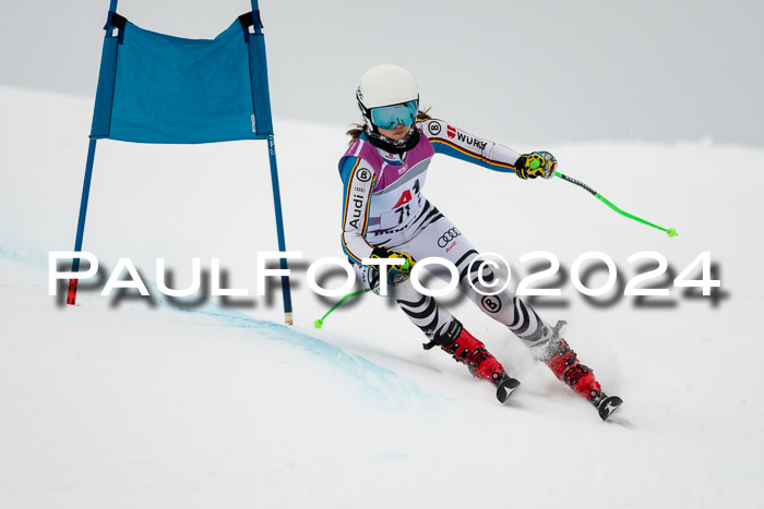 1. SVM Cup Willi-Wein-Gedächtnisrennen, RS, 05.01.2023