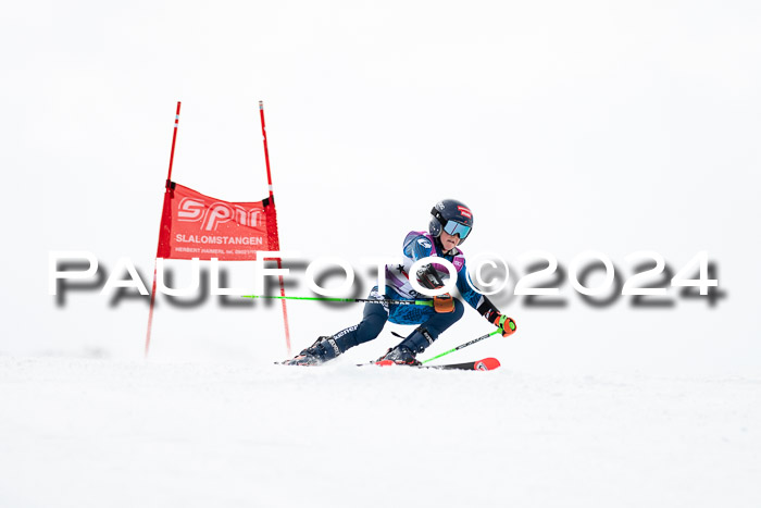 1. SVM Cup Willi-Wein-Gedächtnisrennen, RS, 05.01.2023