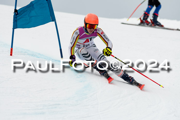 1. SVM Cup Willi-Wein-Gedächtnisrennen, RS, 05.01.2023
