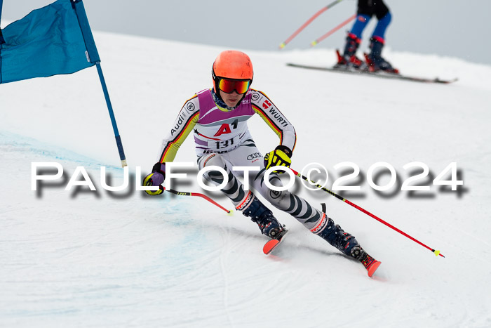 1. SVM Cup Willi-Wein-Gedächtnisrennen, RS, 05.01.2023