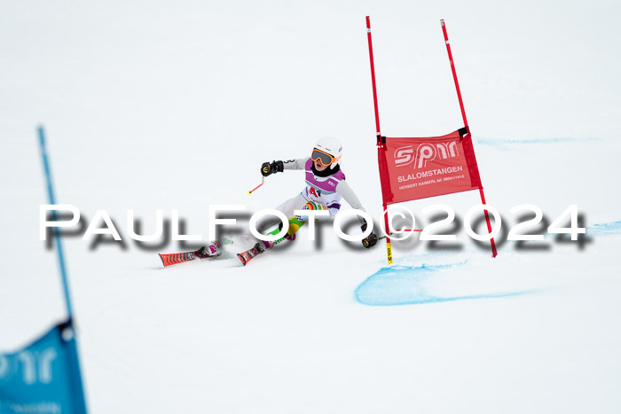 1. SVM Cup Willi-Wein-Gedächtnisrennen, RS, 05.01.2023