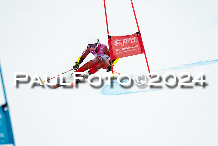 1. SVM Cup Willi-Wein-Gedächtnisrennen, RS, 05.01.2023