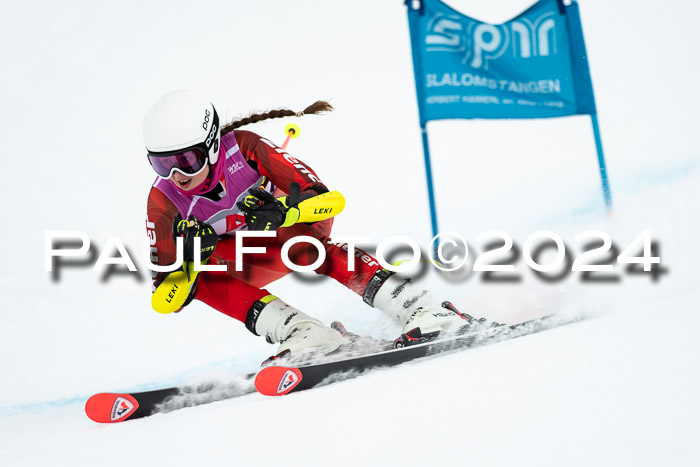 1. SVM Cup Willi-Wein-Gedächtnisrennen, RS, 05.01.2023