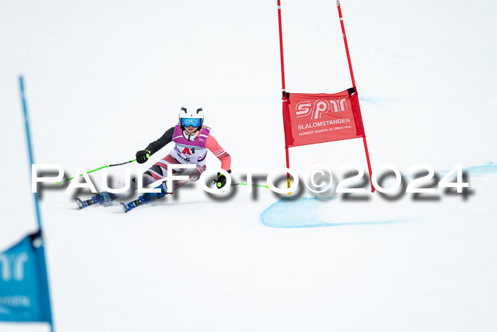1. SVM Cup Willi-Wein-Gedächtnisrennen, RS, 05.01.2023