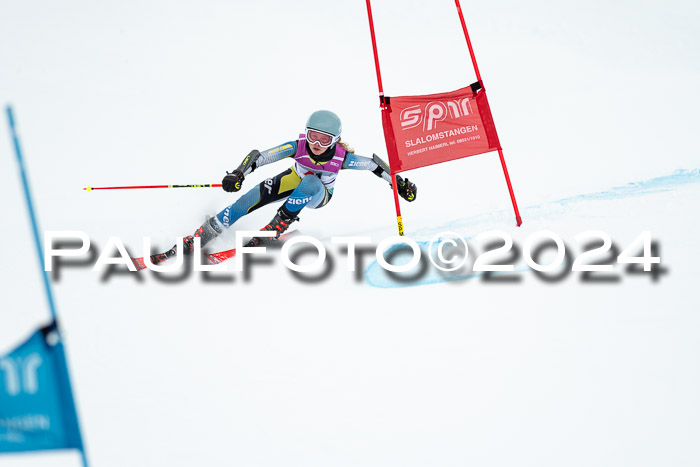 1. SVM Cup Willi-Wein-Gedächtnisrennen, RS, 05.01.2023