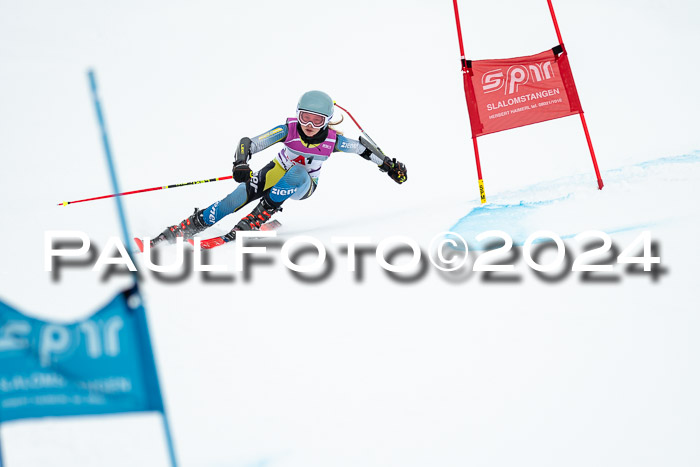 1. SVM Cup Willi-Wein-Gedächtnisrennen, RS, 05.01.2023