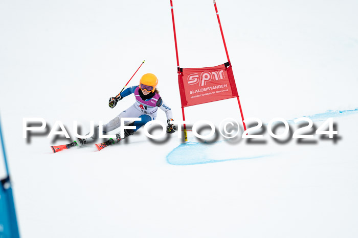 1. SVM Cup Willi-Wein-Gedächtnisrennen, RS, 05.01.2023