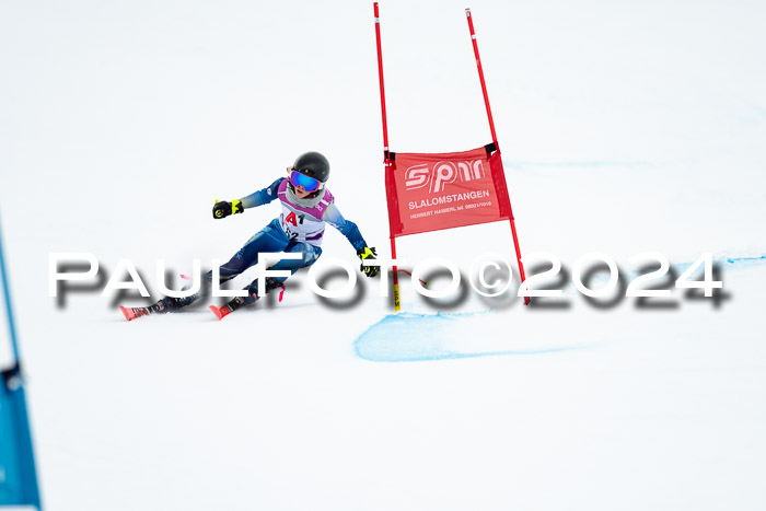 1. SVM Cup Willi-Wein-Gedächtnisrennen, RS, 05.01.2023