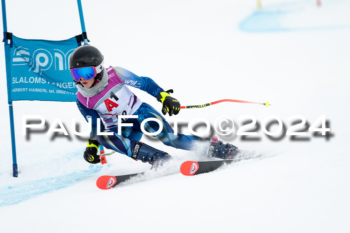 1. SVM Cup Willi-Wein-Gedächtnisrennen, RS, 05.01.2023