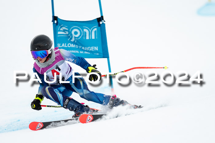1. SVM Cup Willi-Wein-Gedächtnisrennen, RS, 05.01.2023