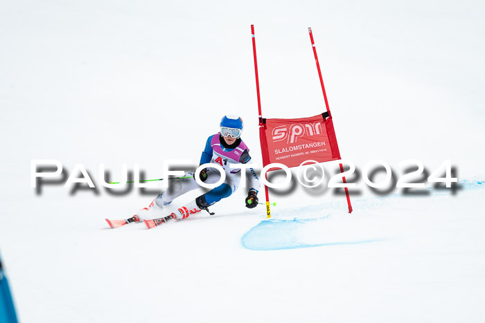 1. SVM Cup Willi-Wein-Gedächtnisrennen, RS, 05.01.2023