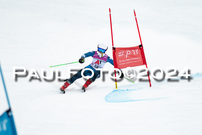 1. SVM Cup Willi-Wein-Gedächtnisrennen, RS, 05.01.2023