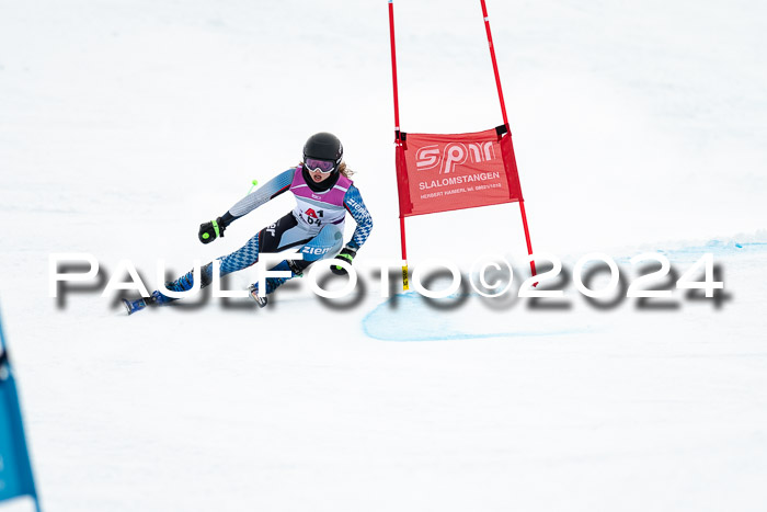 1. SVM Cup Willi-Wein-Gedächtnisrennen, RS, 05.01.2023