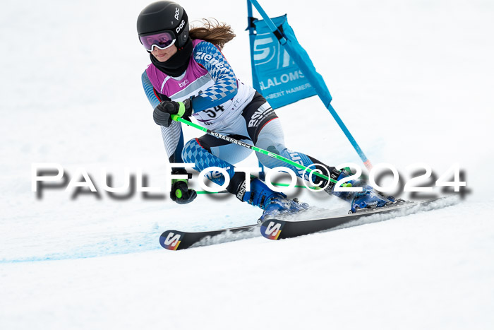 1. SVM Cup Willi-Wein-Gedächtnisrennen, RS, 05.01.2023