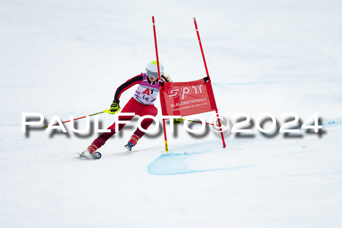 1. SVM Cup Willi-Wein-Gedächtnisrennen, RS, 05.01.2023