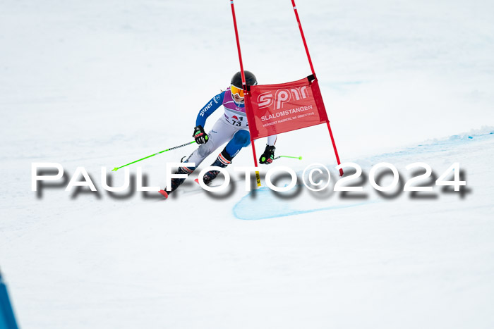 1. SVM Cup Willi-Wein-Gedächtnisrennen, RS, 05.01.2023