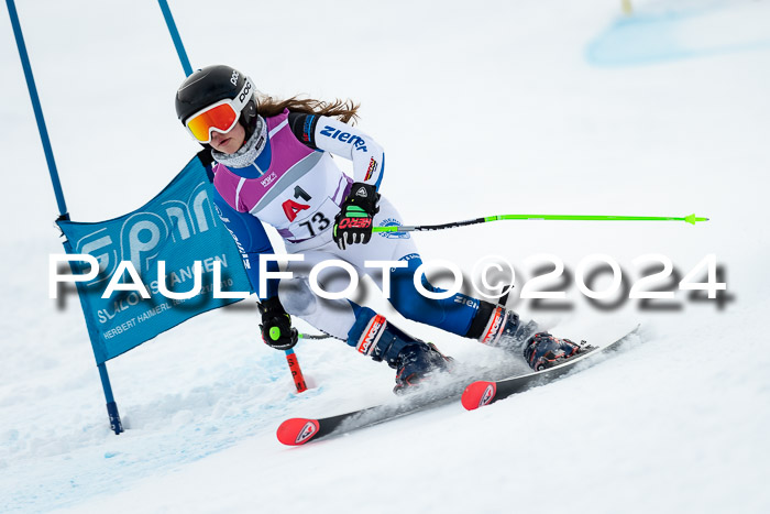 1. SVM Cup Willi-Wein-Gedächtnisrennen, RS, 05.01.2023