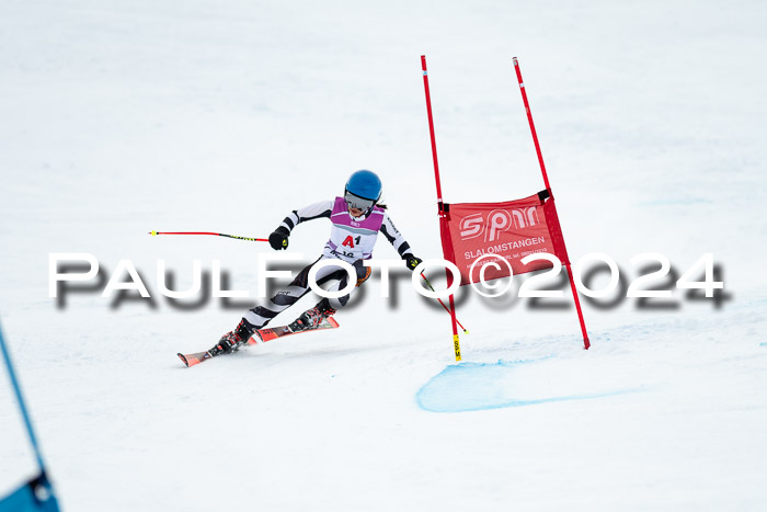 1. SVM Cup Willi-Wein-Gedächtnisrennen, RS, 05.01.2023
