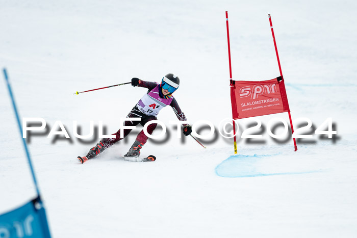 1. SVM Cup Willi-Wein-Gedächtnisrennen, RS, 05.01.2023