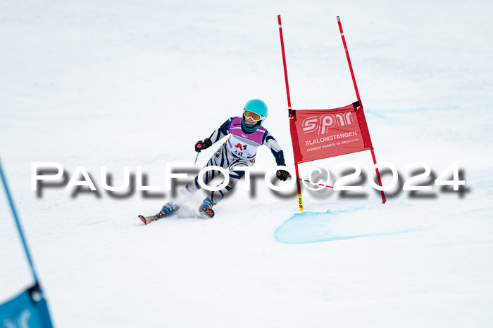 1. SVM Cup Willi-Wein-Gedächtnisrennen, RS, 05.01.2023