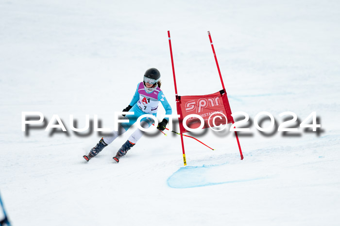 1. SVM Cup Willi-Wein-Gedächtnisrennen, RS, 05.01.2023