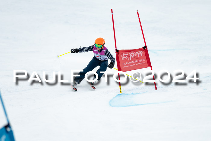 1. SVM Cup Willi-Wein-Gedächtnisrennen, RS, 05.01.2023