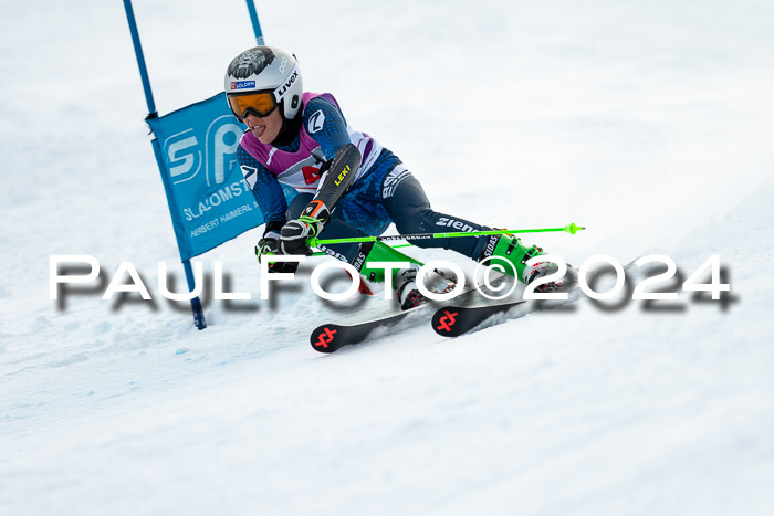 1. SVM Cup Willi-Wein-Gedächtnisrennen, RS, 05.01.2023