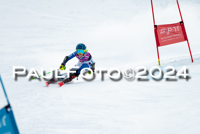 1. SVM Cup Willi-Wein-Gedächtnisrennen, RS, 05.01.2023