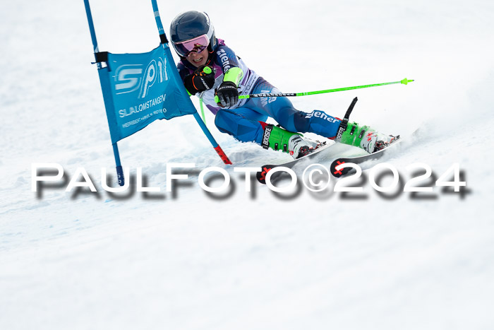 1. SVM Cup Willi-Wein-Gedächtnisrennen, RS, 05.01.2023