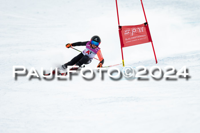 1. SVM Cup Willi-Wein-Gedächtnisrennen, RS, 05.01.2023