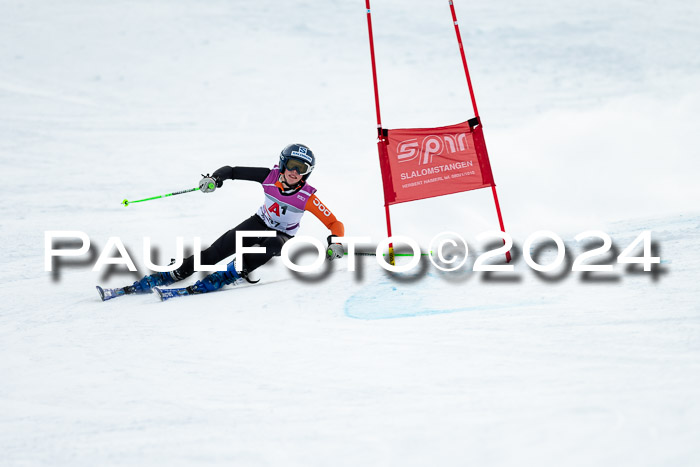1. SVM Cup Willi-Wein-Gedächtnisrennen, RS, 05.01.2023