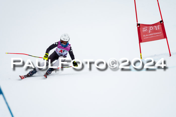 1. SVM Cup Willi-Wein-Gedächtnisrennen, RS, 05.01.2023