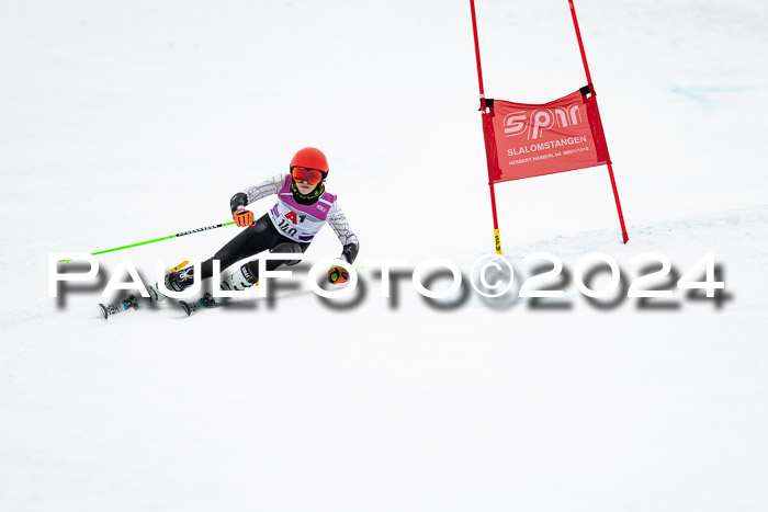1. SVM Cup Willi-Wein-Gedächtnisrennen, RS, 05.01.2023