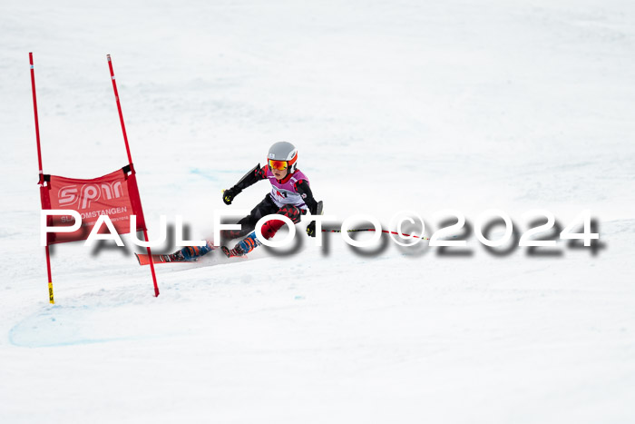 1. SVM Cup Willi-Wein-Gedächtnisrennen, RS, 05.01.2023