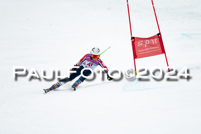 1. SVM Cup Willi-Wein-Gedächtnisrennen, RS, 05.01.2023