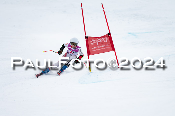 1. SVM Cup Willi-Wein-Gedächtnisrennen, RS, 05.01.2023
