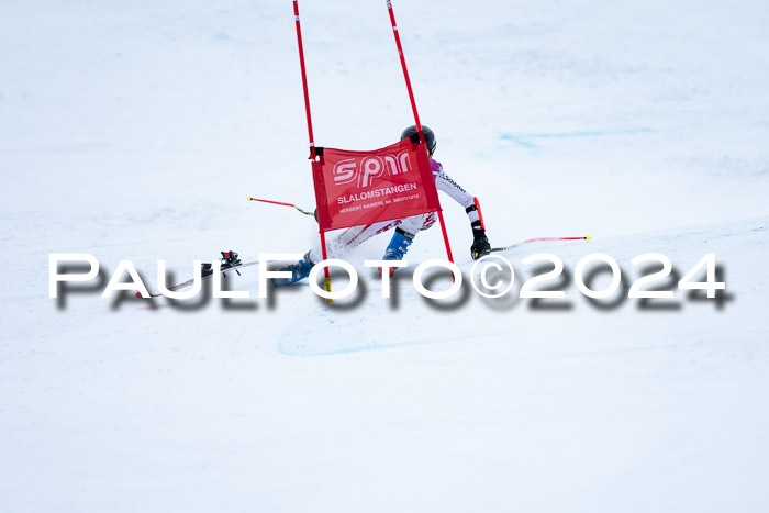 1. SVM Cup Willi-Wein-Gedächtnisrennen, RS, 05.01.2023