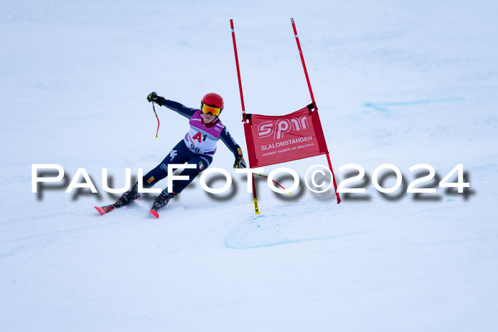 1. SVM Cup Willi-Wein-Gedächtnisrennen, RS, 05.01.2023