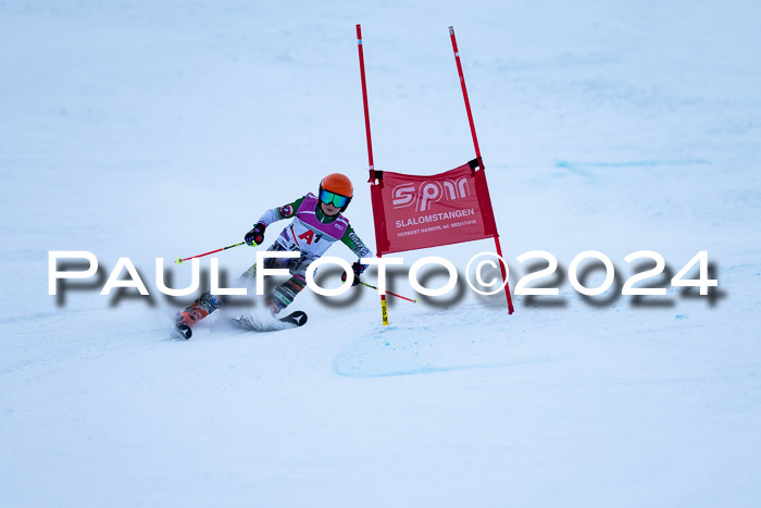 1. SVM Cup Willi-Wein-Gedächtnisrennen, RS, 05.01.2023
