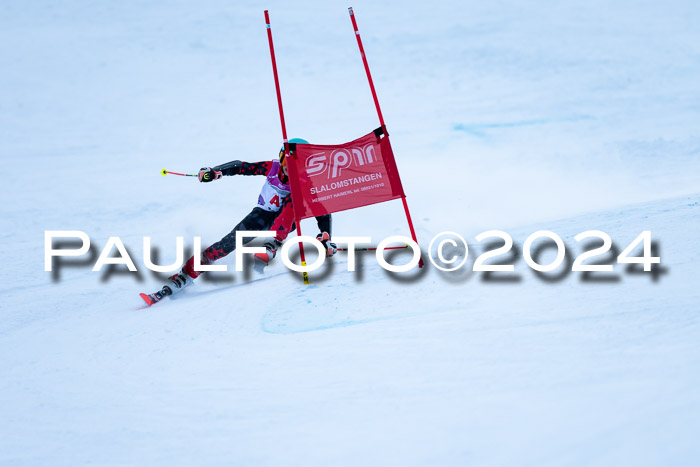 1. SVM Cup Willi-Wein-Gedächtnisrennen, RS, 05.01.2023