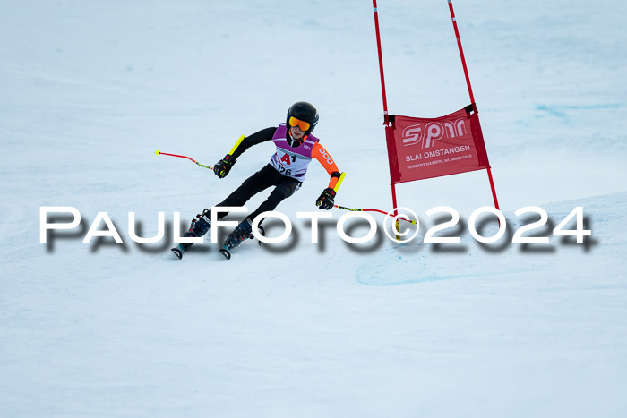 1. SVM Cup Willi-Wein-Gedächtnisrennen, RS, 05.01.2023