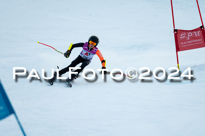 1. SVM Cup Willi-Wein-Gedächtnisrennen, RS, 05.01.2023