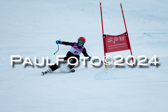 1. SVM Cup Willi-Wein-Gedächtnisrennen, RS, 05.01.2023