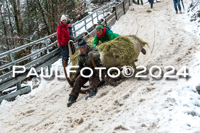 53. Hornschlittenrennen Partenkirchen, 06.01.2024