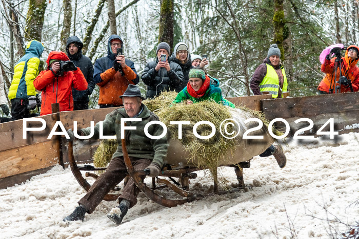 53. Hornschlittenrennen Partenkirchen, 06.01.2024