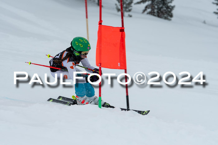 1. Ziener Cup WF RS, 07.01.2024