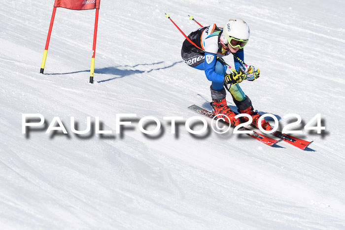BSV-Ziener KidsCross Allgäu 1