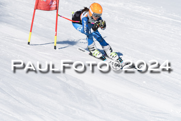 BSV-Ziener KidsCross Allgäu 1