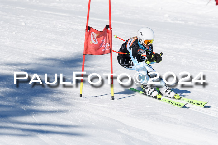 BSV-Ziener KidsCross Allgäu 1